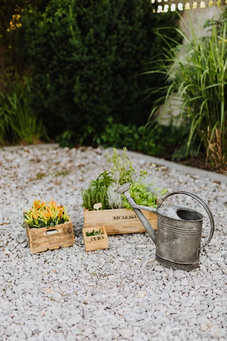 A small herb bed with neatly grouped easy care herbs in a backyard garden